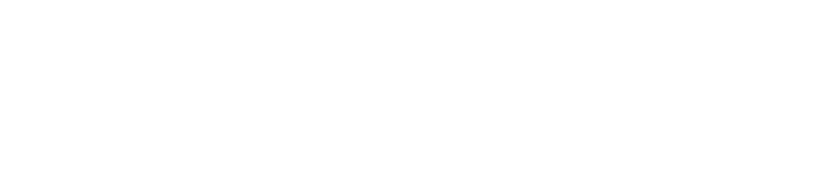 Condor logo