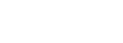 Novritsch logo